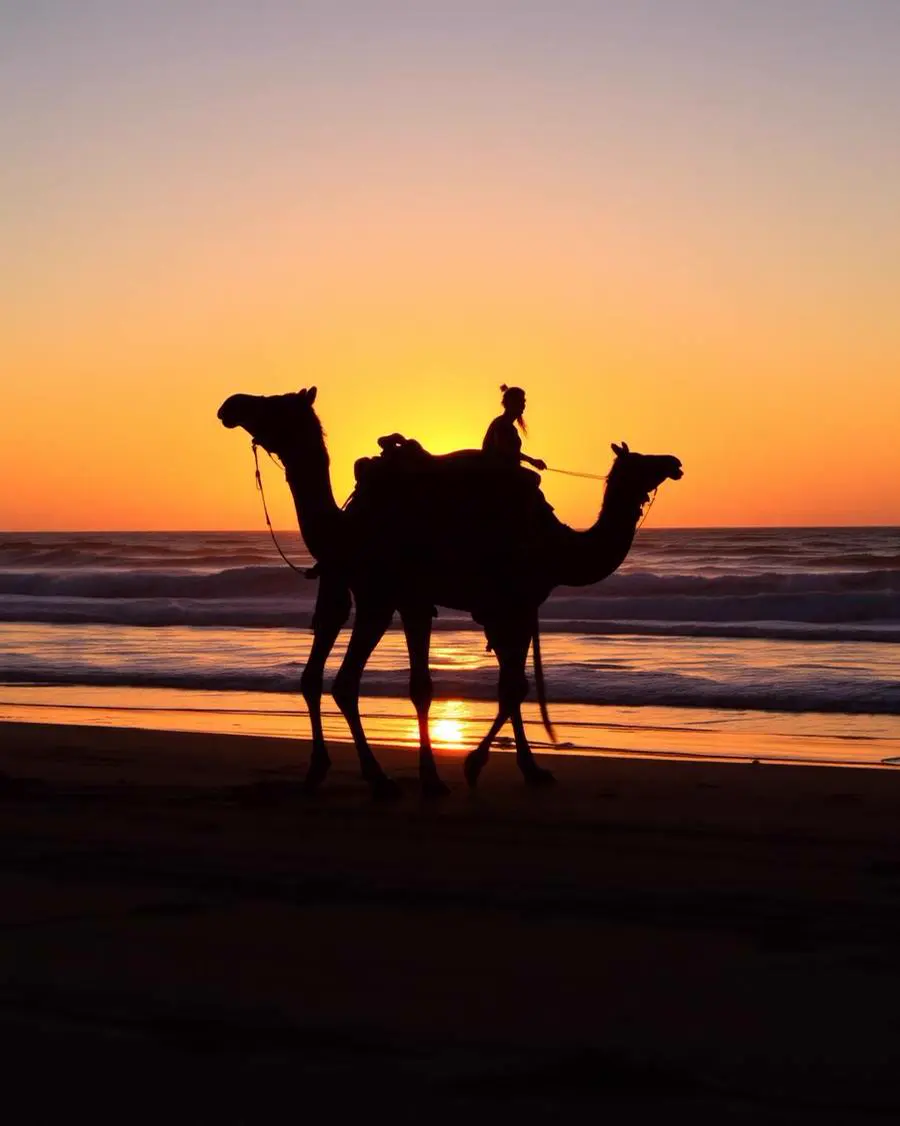 Activities in Tangier — Do